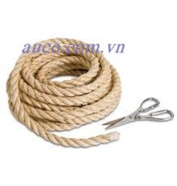 Dây cói đóng hàng